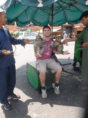 monkeys-in-marrakech.jpg