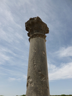 volubilis-column.jpg