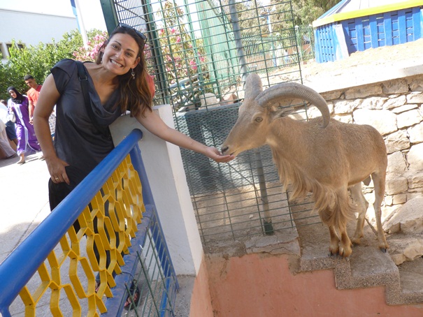 agadir-zoo.jpg