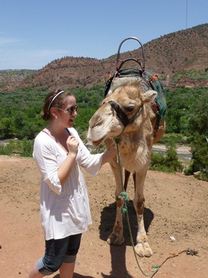 morocco-camel.jpg