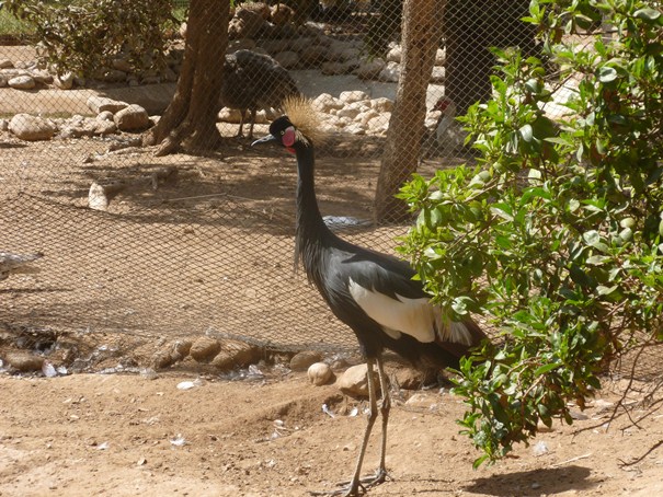 agadir-bird-valley.jpg