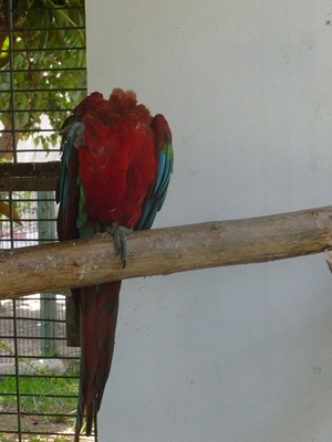 agadir-bird-park.jpg