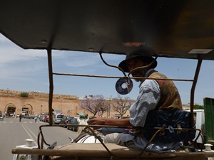 horse-carriage-ride-meknes.jpg