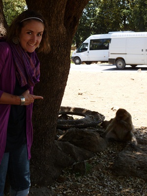 monkeys-in-morocco.jpg