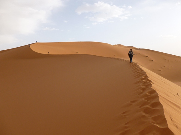 long-sahara-walk.jpg