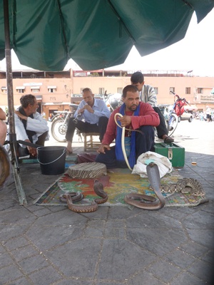 djemaa-el-fna-snake-charmers.jpg