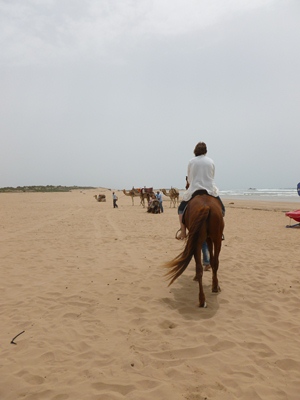 horseback-riding-beach-essaouira.jpg