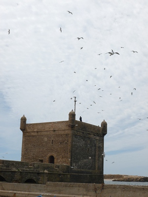 medina-ramparts-essaouira.jpg