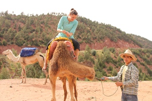 camels-in-morocco.jpg