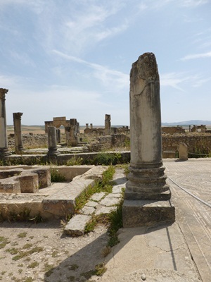 column-ruins-in-volubilis.jpg